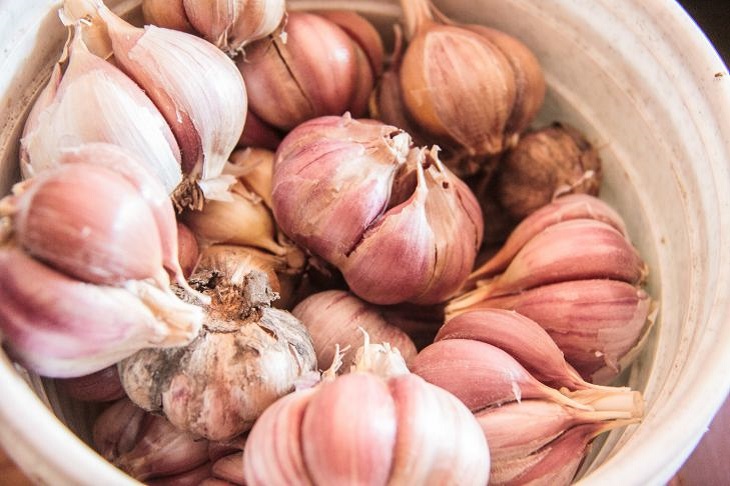 No more midges in your kitchen: put this product in the corner Garlic