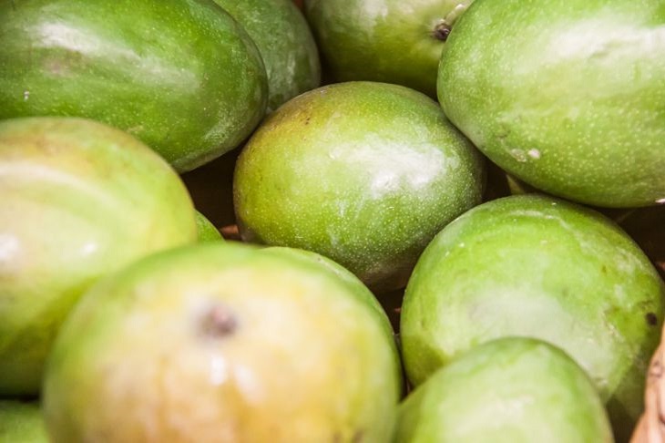 Nicht keimen lassen oder wegwerfen: Es gibt bessere Verwendungsmöglichkeiten für Avocadokerne Avocado