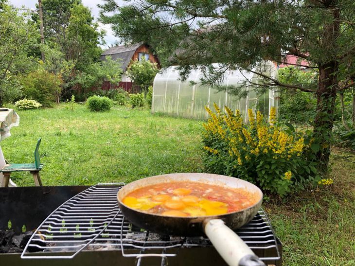 Under what conditions does a frying pan release toxic substances: here's what you shouldn't do Frying pan
