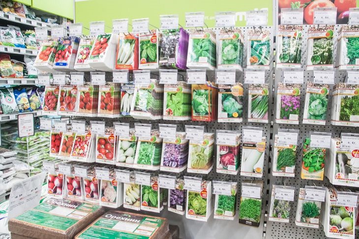 All seeds will 100% sprout: what to soak them in before planting Seeds