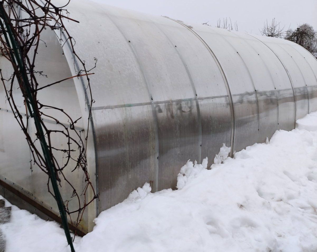 It's time to fill greenhouses with snow: why it is necessary and what to expect in spring Greenhouse Snow