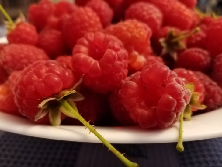 An effective remedy that will protect raspberries from rot and pests. Treat your bushes with it Raspberry