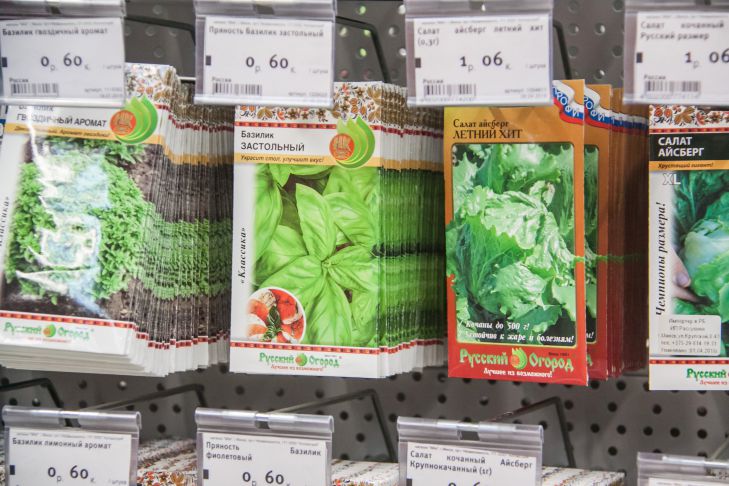 Soak the seedlings in this solution before planting to ensure good germination. Seeds