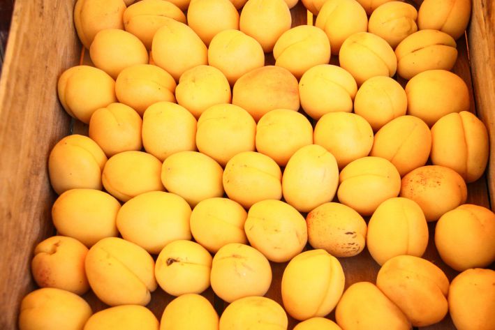 Apricots