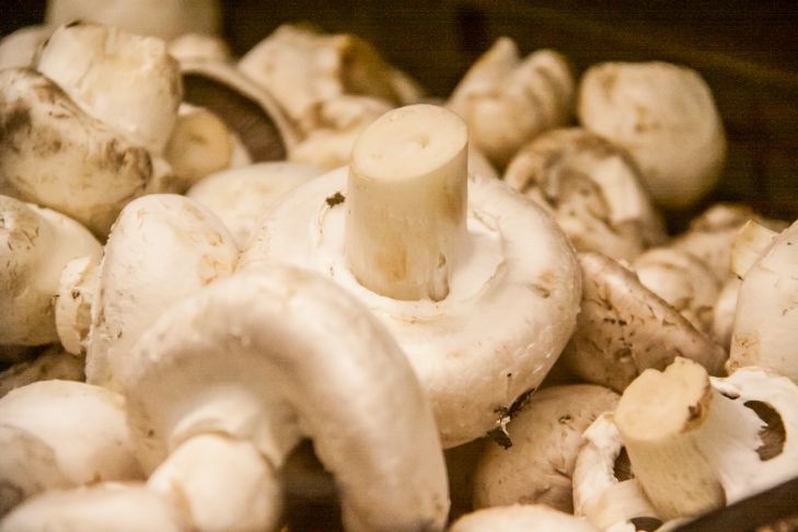 Muss ich Champignons schälen: Beenden Sie diese Debatte für immer Champignons