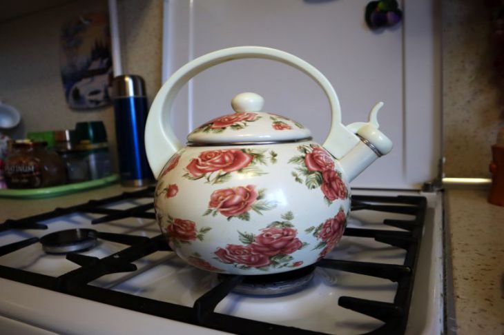 How to clean a kettle from grease: unconventional methods Kettle