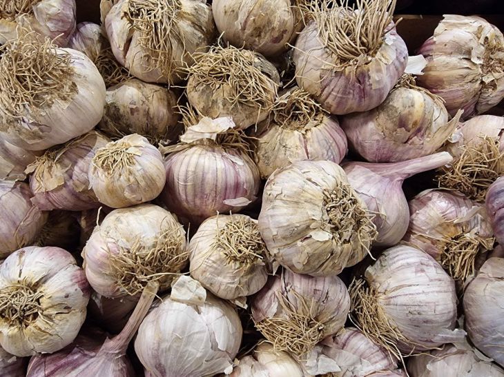 Garlic Smell Will Disappear Instantly With This Trick: A Lifesaver for Garlic Croutons Lovers Garlic