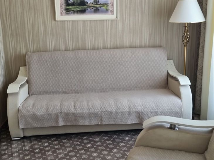 What to do if a sandwich falls on the sofa or sauce spills: we will cope without dry cleaning Sofa