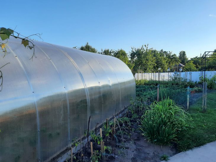 Comment choisir une serre en polycarbonate pour qu'elle ne s'effondre pas la première année : les conseils du moment Serre
