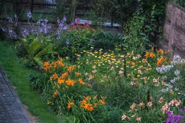 Give up the idea of burning old grass on the plot: 5 reasons why smart gardeners don’t do it grass
