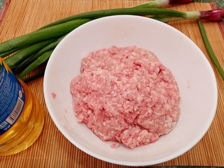 How to defrost minced meat in 10 minutes: the secret is in storing the product Stuffing