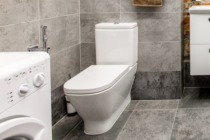 The plaque and stains on the toilet will disappear in an hour: all that remains is to flush Toilet