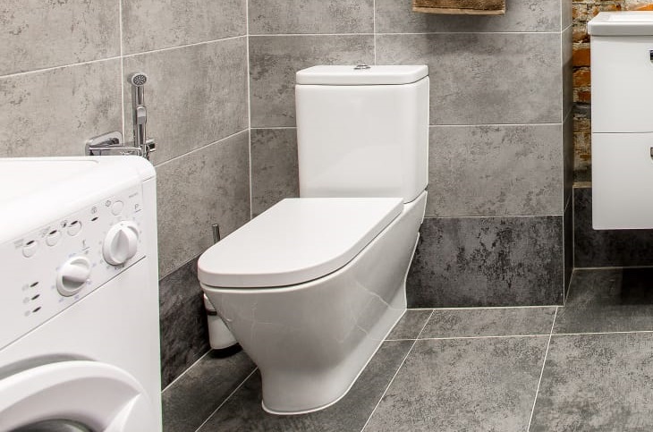 How to clean a toilet from limescale and urinary calculus: 5 methods that will restore cleanliness to your plumbing Toilet