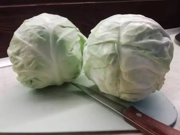 Cuánto eneldo se necesita para el chucrut para que quede crujiente y jugoso: la combinación perfecta repollo