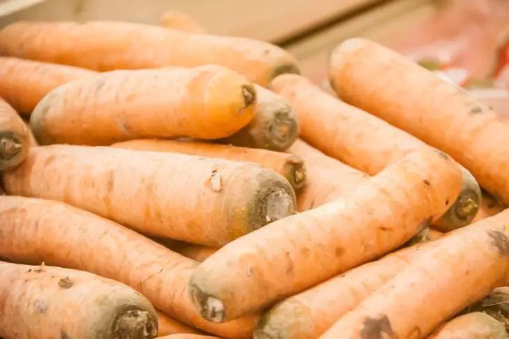 Comment faire pousser des carottes sucrées par tous les temps : une astuce astucieuse carotte