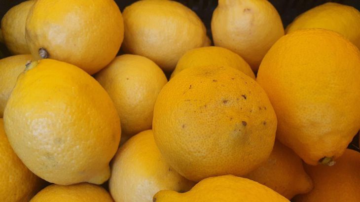 Why an experienced housewife won't throw away lemon peel right away: not everyone knows about this lemon