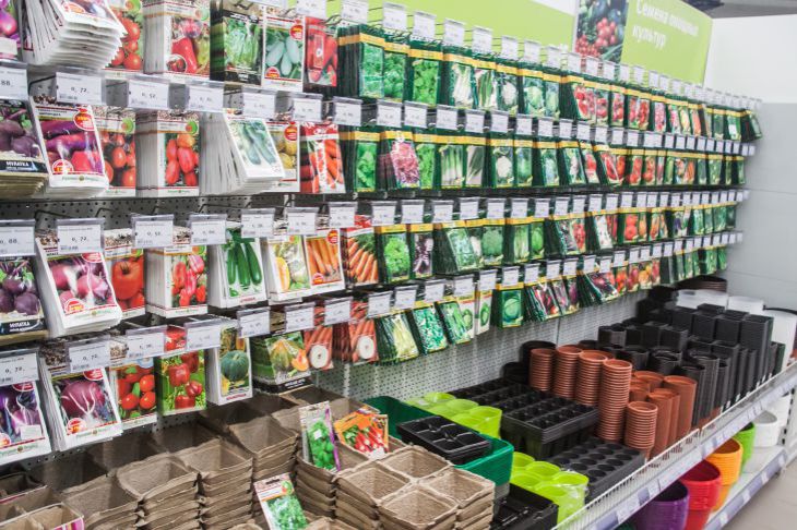 How to disinfect seeds before planting: a pharmaceutical product known for decades Seeds