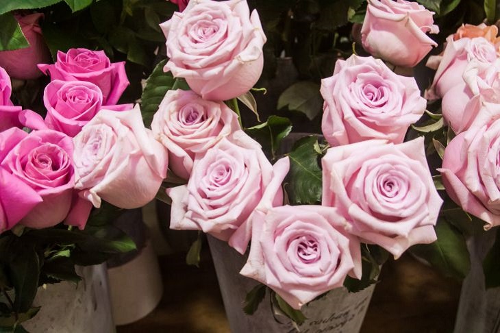 A bouquet of roses will remain beautiful for a month if you add this “doping” to the water: not sugar or aspirin Roses