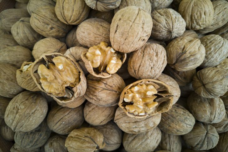Mitad por mitad: cómo partir nueces como un profesional nueces