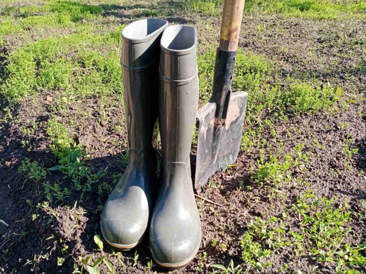 Gardener's lunar calendar from March 13 to 19: when and what to plant boots