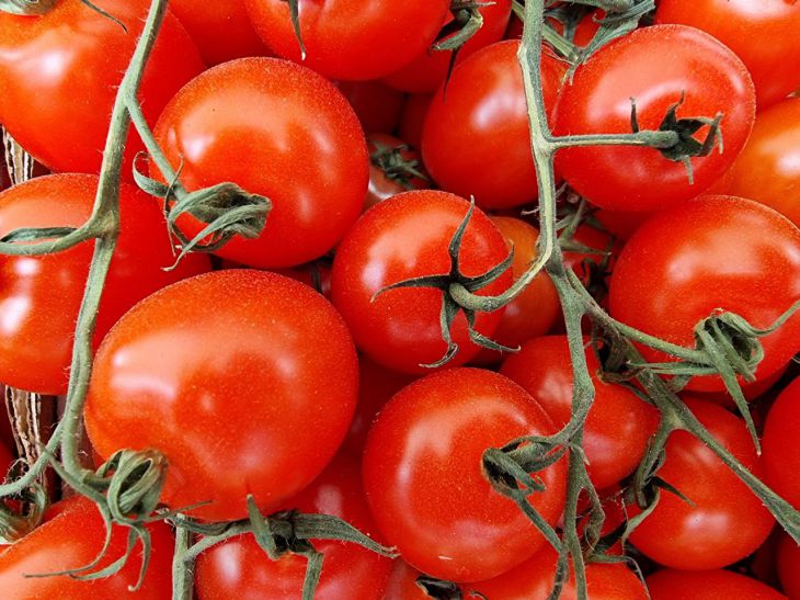 Place this in the hole under the tomatoes when planting them in the ground: a village secret Tomatoes