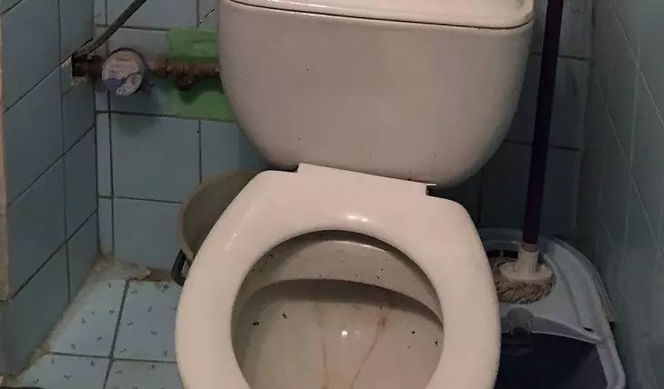 What will happen if you scrub the toilet with soda once a week: total savings and more toilet