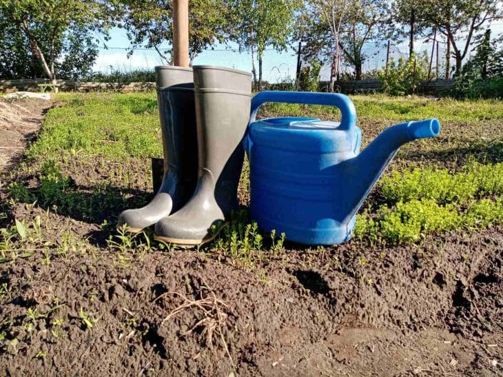 Inventory, garden