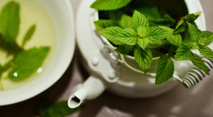Few people know about this: what to do with a sprig of mint to ensure that money is found in the house – signs Mint