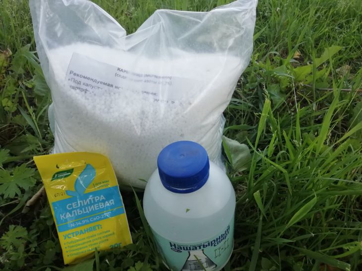 What to add to the soil before transplanting seedlings: the secret of Soviet summer residents Fertilizers