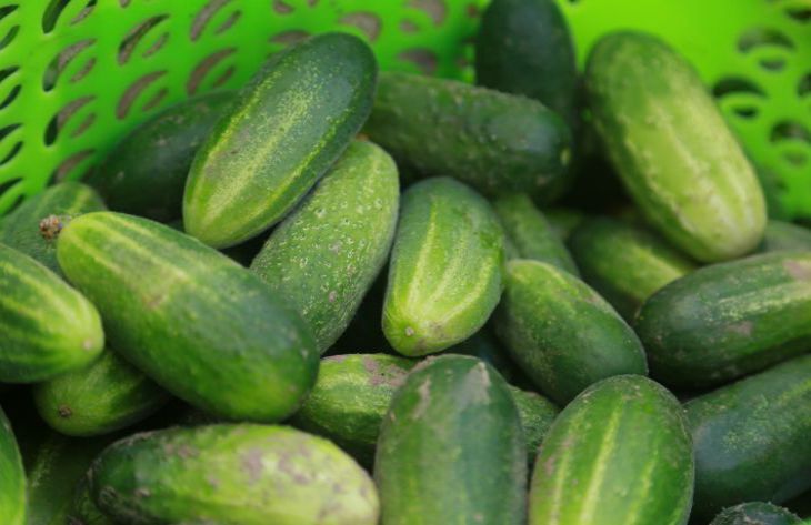 Welche 5 Gemüsesorten sollten Sie beim Abnehmen in Ihre Ernährung aufnehmen: Ratschläge von Ernährungswissenschaftlern Gemüse
