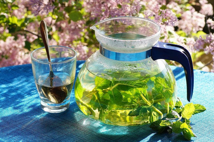 Comment préparer du thé avec des feuilles de menthe : conseils pour préparer une boisson incroyablement savoureuse et, surtout, saine Thé à la menthe
