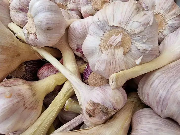 Comment prolonger la durée de conservation de l'ail : une astuce avec une bougie ail