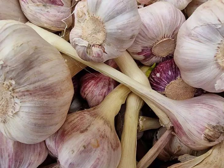Comment bien retirer les pousses d'ail pour qu'il produise une grosse récolte : un secret de village Ail