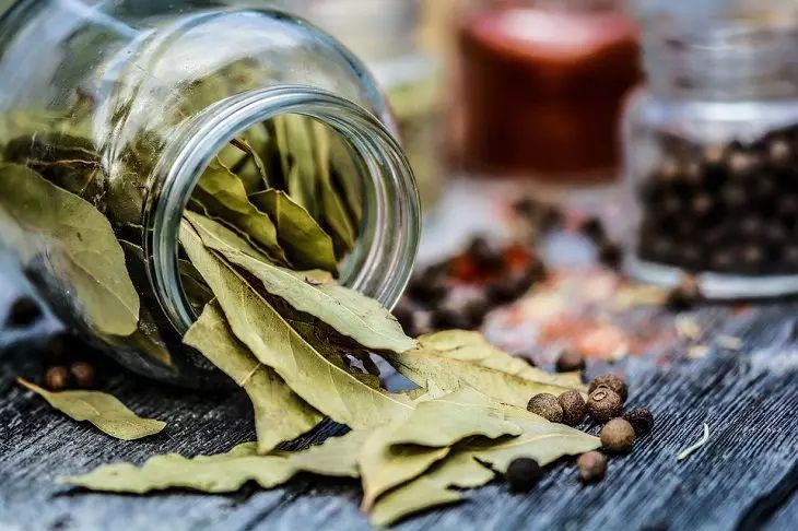 Comment révéler l'arôme secret des feuilles de laurier dans une soupe : ne manquez pas le secret laurier