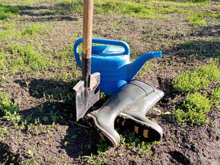 Why Smart Gardeners Paint Shovel Handles Yellow: An Interesting Life Hack shovel