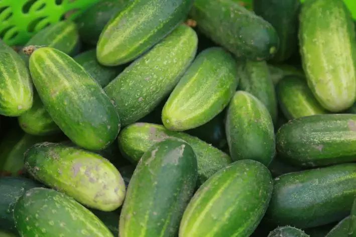 Just 3 spoons – and cucumbers will grow at least a ton: a clever top dressing cucumbers