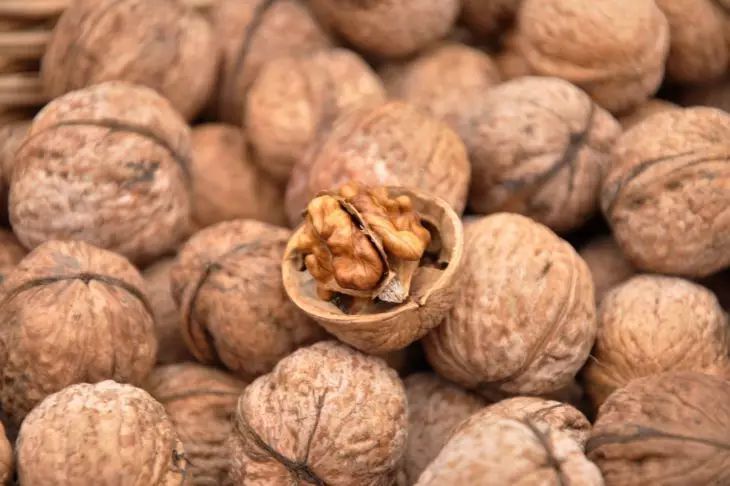 Pourquoi les jardiniers intelligents ne jettent jamais les coquilles de noix noix