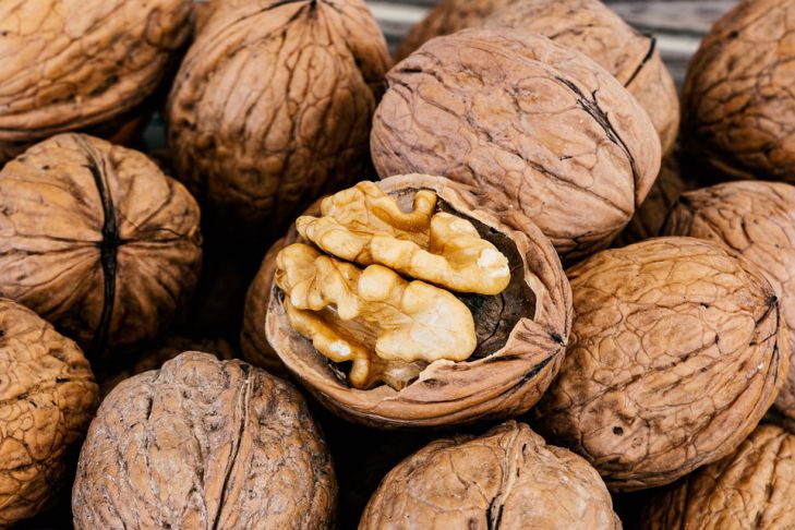 Why You Should Keep Walnuts in the Refrigerator: An Unexpected Reason walnuts