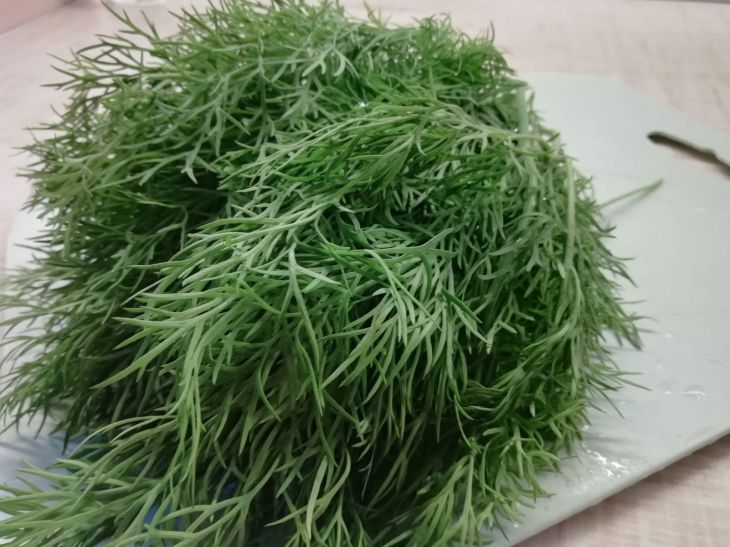 Wie man Okroshka in Wasser kocht: Nichts ist einfacher Dill