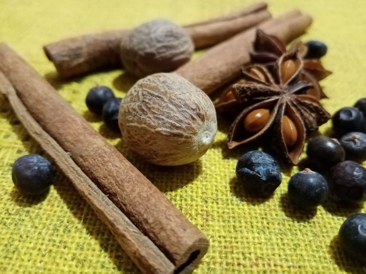 Why does the apartment smell bad: where to start to get rid of the problem Spices Herbs
