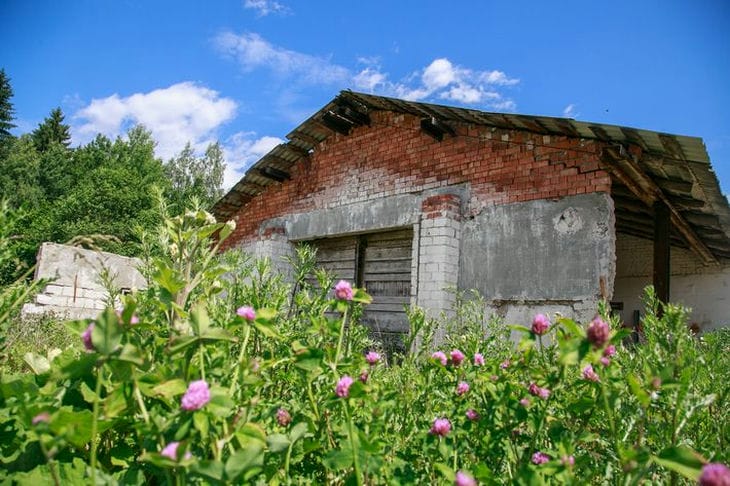 Que faire d'un cabanon sur un chalet d'été : des idées de transformation créative Bâtiment