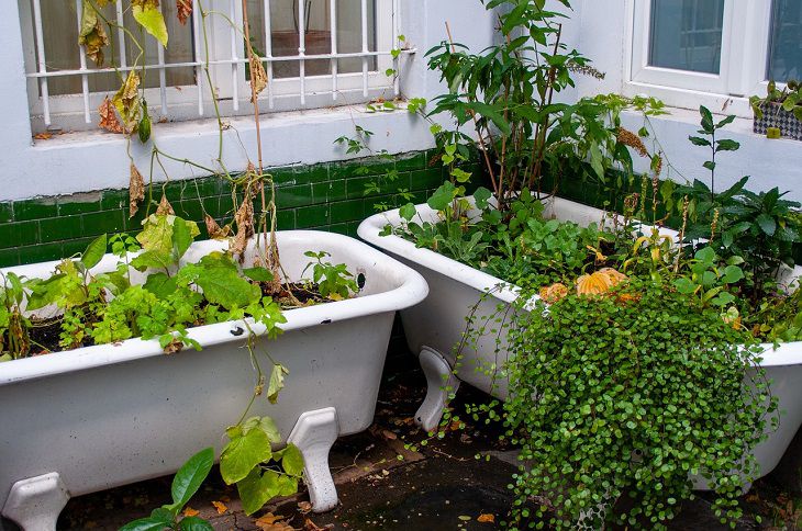 Don't Rush to Scrap Your Old Bathtub: Here's How It Can Be Used in the Garden Now