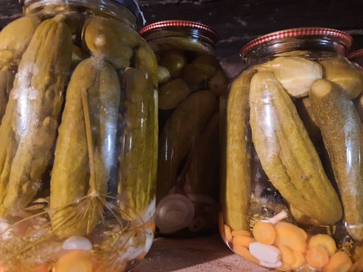 Recette de concombres légèrement salés : ils s'avèrent croustillants et se conservent tout l'hiver Couchers de soleil sur les concombres