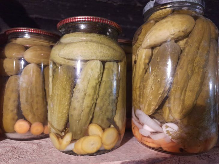 Why do jars of cucumbers explode: 5 reasons given to housewives Pickled Cucumbers