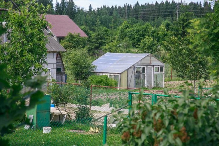 These things cannot be taken from the dacha to the apartment: there are 2 reasons for this Plot