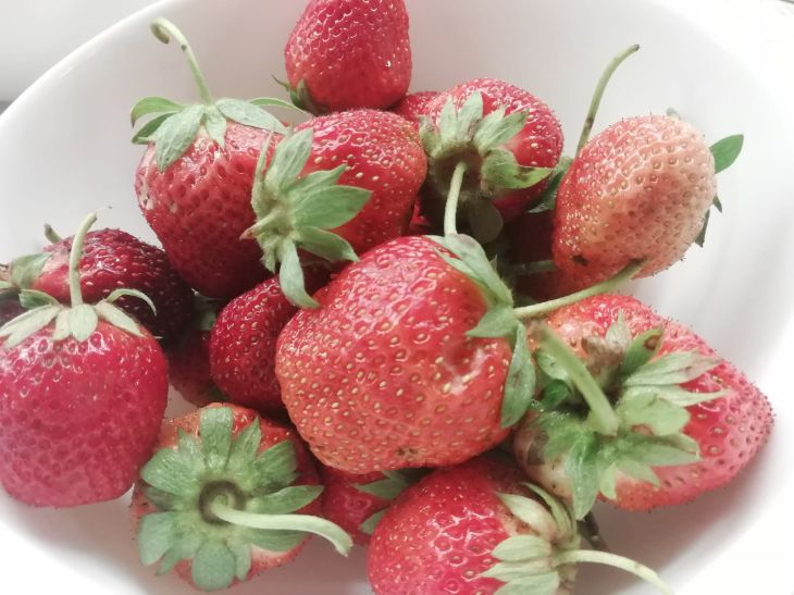 Mythen über das Einfrieren von Erdbeeren: Ratschläge für junge Hausfrauen Erdbeerbeeren
