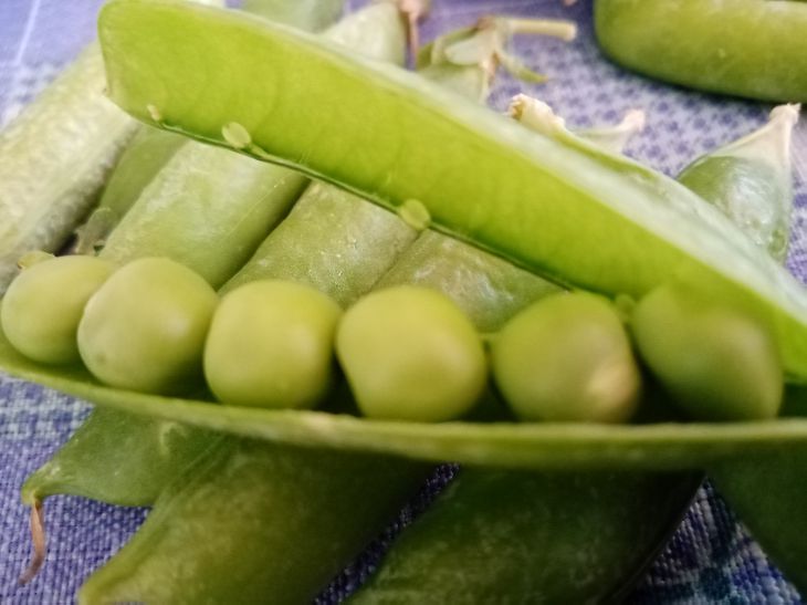 Comment faire cuire des pois en littéralement une demi-heure : des ménagères expérimentées ont révélé leurs secrets pois