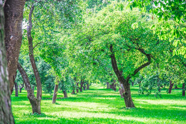 What are the 6 simple habits that will be most beneficial for the environment: everyone can acquire them ecology