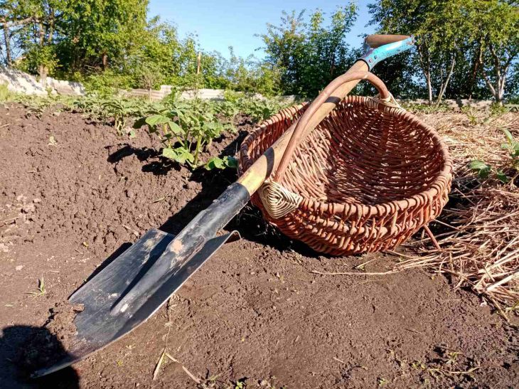 The old-fashioned way of sharpening a shovel so it always stays sharp shovel