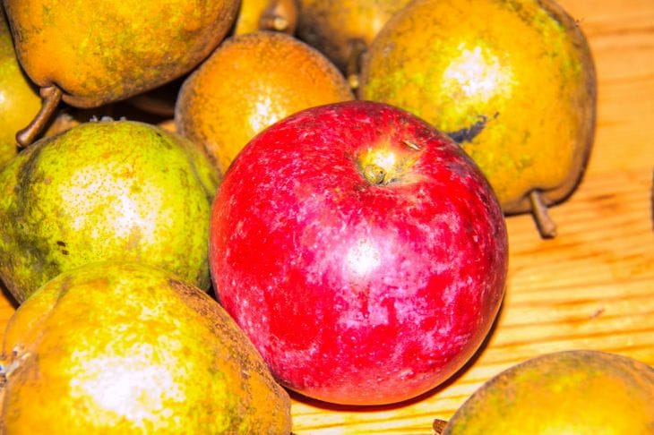 Cuánta agua y cuánta fruta: cómo calcular las proporciones correctas para preparar una compota rica y sabrosa manzanas y peras